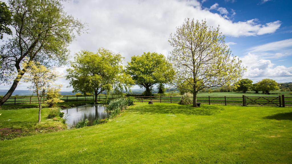 Bed and Breakfast Hills Farm Leominster Pokoj fotografie