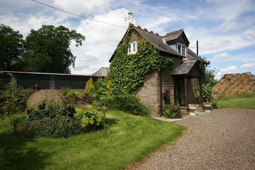 Bed and Breakfast Hills Farm Leominster Pokoj fotografie
